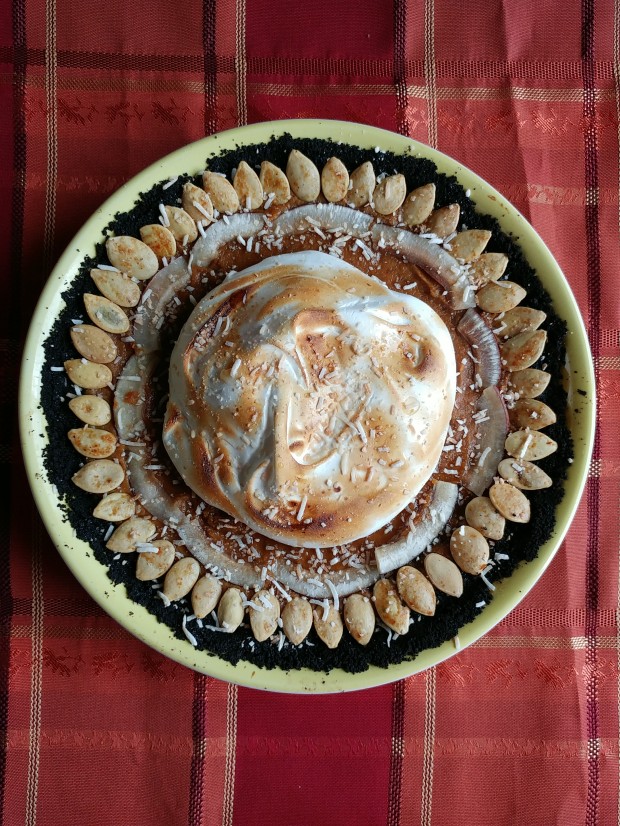 Coconut Pepita Pumpkin Pie - Candy Coated Culinista